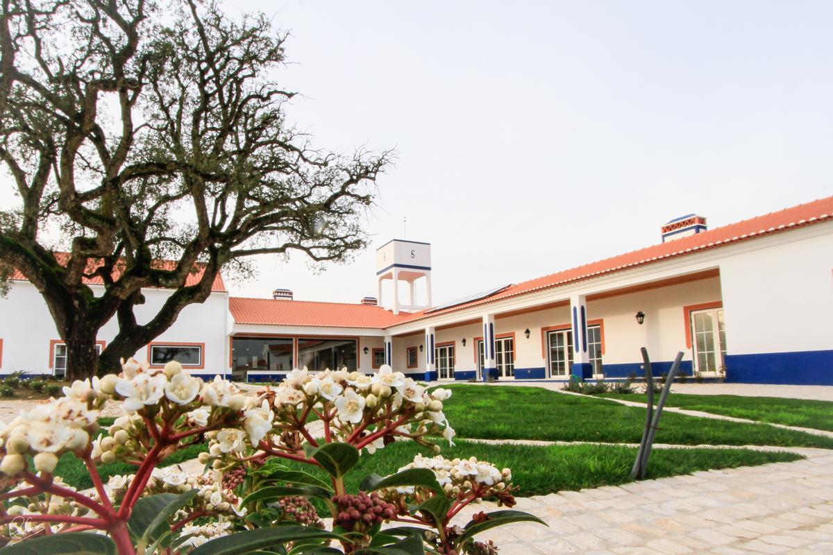 알렌쿠어 Quinta Da Torre - Casas De Campo B&B 외부 사진